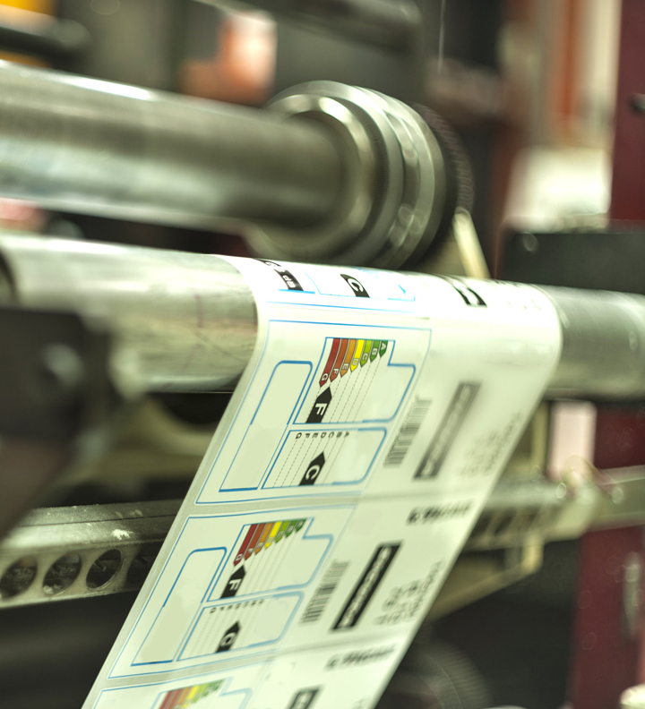 Printing & Packaging